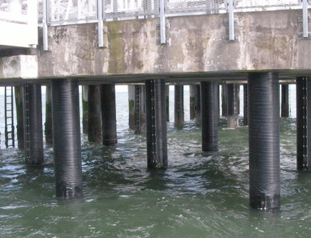 Marine_crop